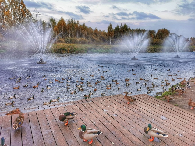 Осень в HDR эффекте