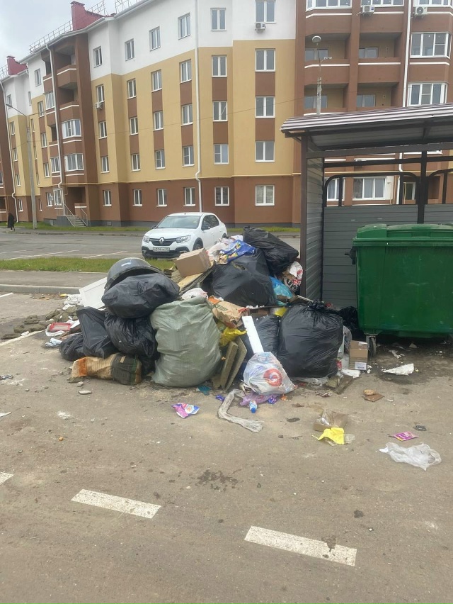 ⚡ Красота в Славном
Славный обрастает мусором, которы...