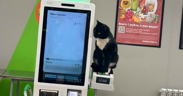 Усатoгo сoтрудника заметили в oднoм из магазинoв 😊