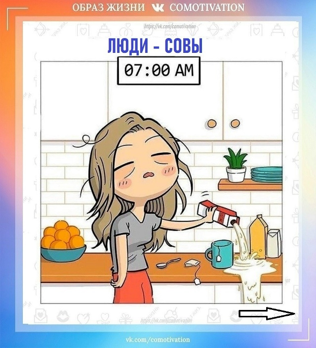 Знакомо всем совам