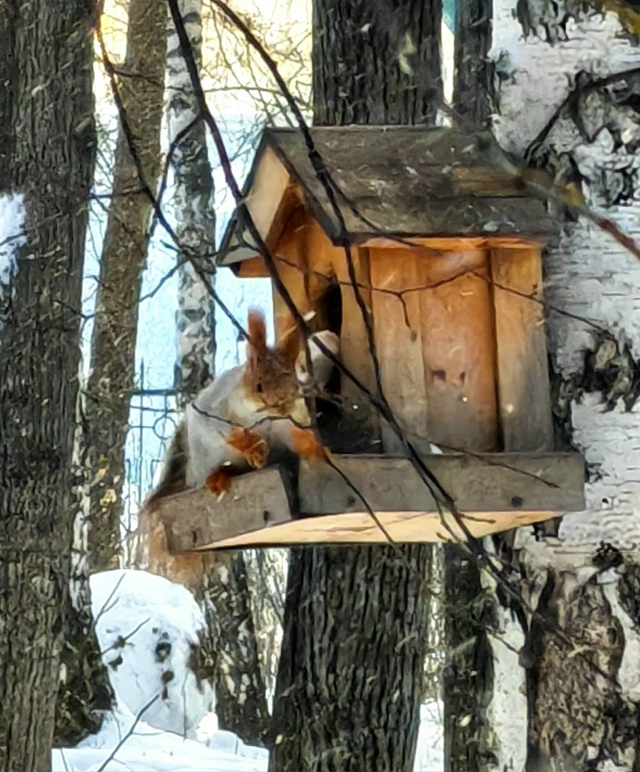 Тaкиe кaдpы cмoг пoймaть нaш пoдпиcчик 🐿️