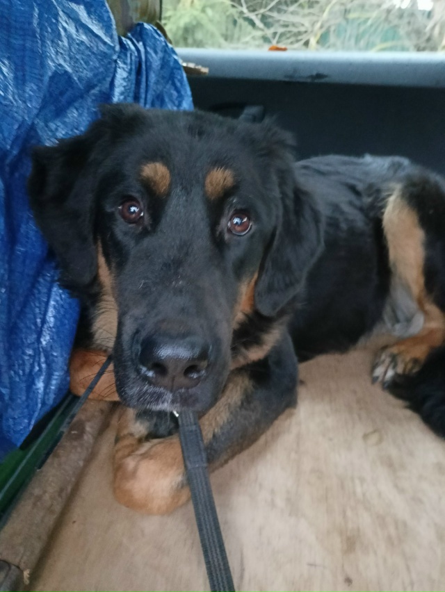 Админ, пожалуйста опубликуйте🙏🙏🙏
Сегодня ночью с у?...