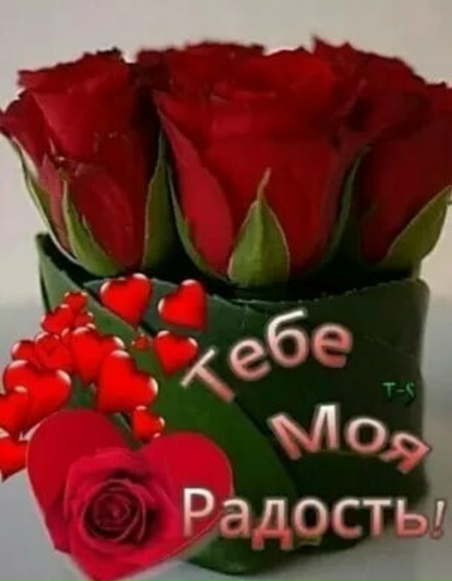 ❤❤❤❤❤❤
