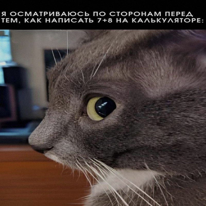 Ночная подборочка
Выходные, не спим