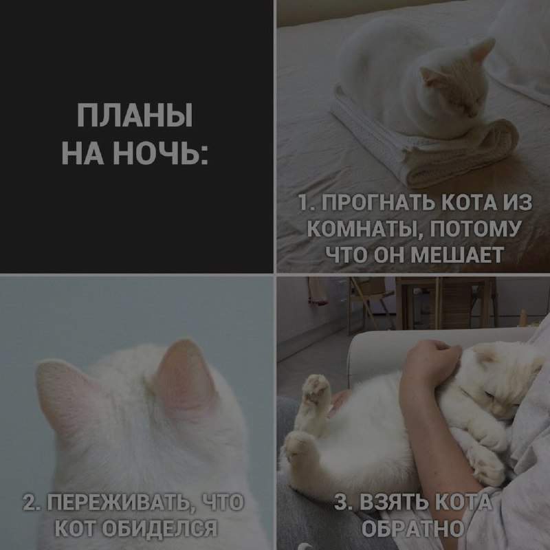 Ночная подборочка
Спать, режим