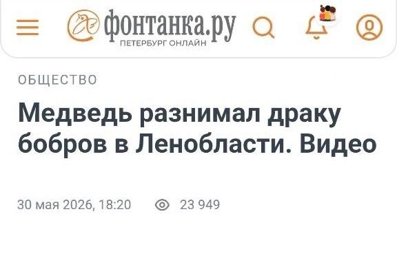 Это разборка… питерская