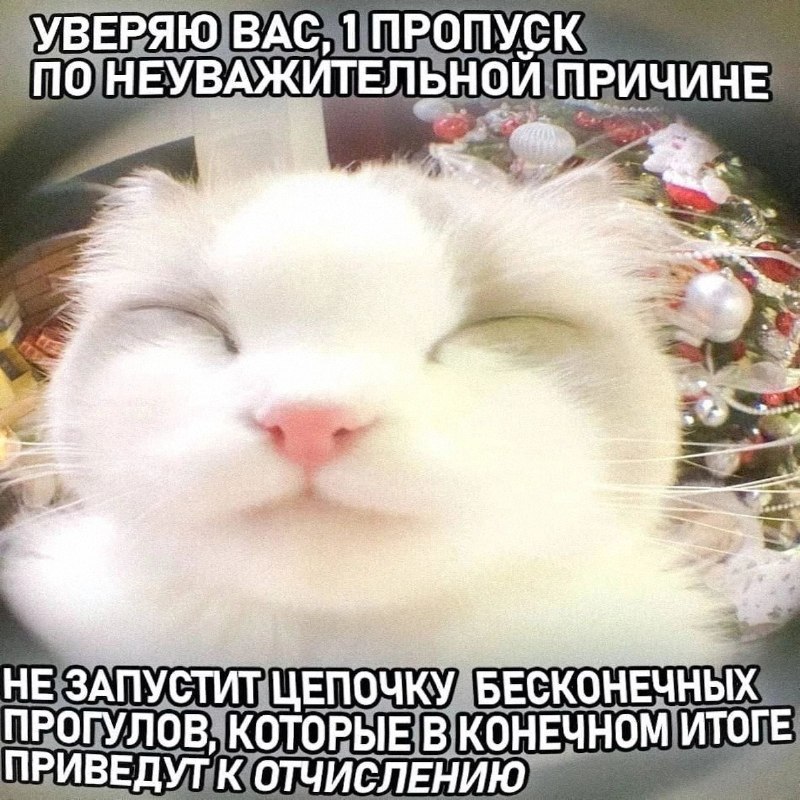 Утренняя подборочка