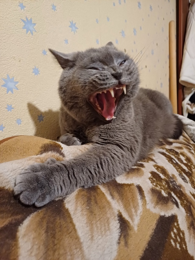 Всем спокойной ночки!!!