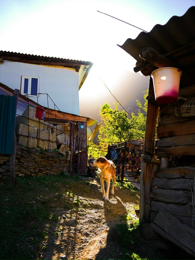 Осень в горах Дагестана 🇷🇺