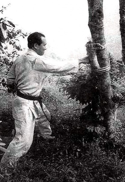 Масутацу Ояма - мастер и преподаватель карате!
Согласн...