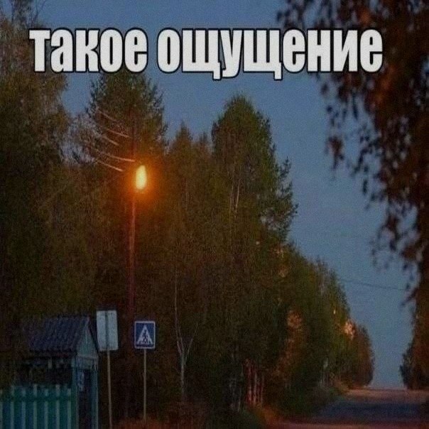 Ночная подборочка
Спать, режим