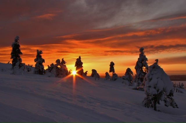 Прекрасные фотографии нашей природы🔥
Фотограф - Илья ...