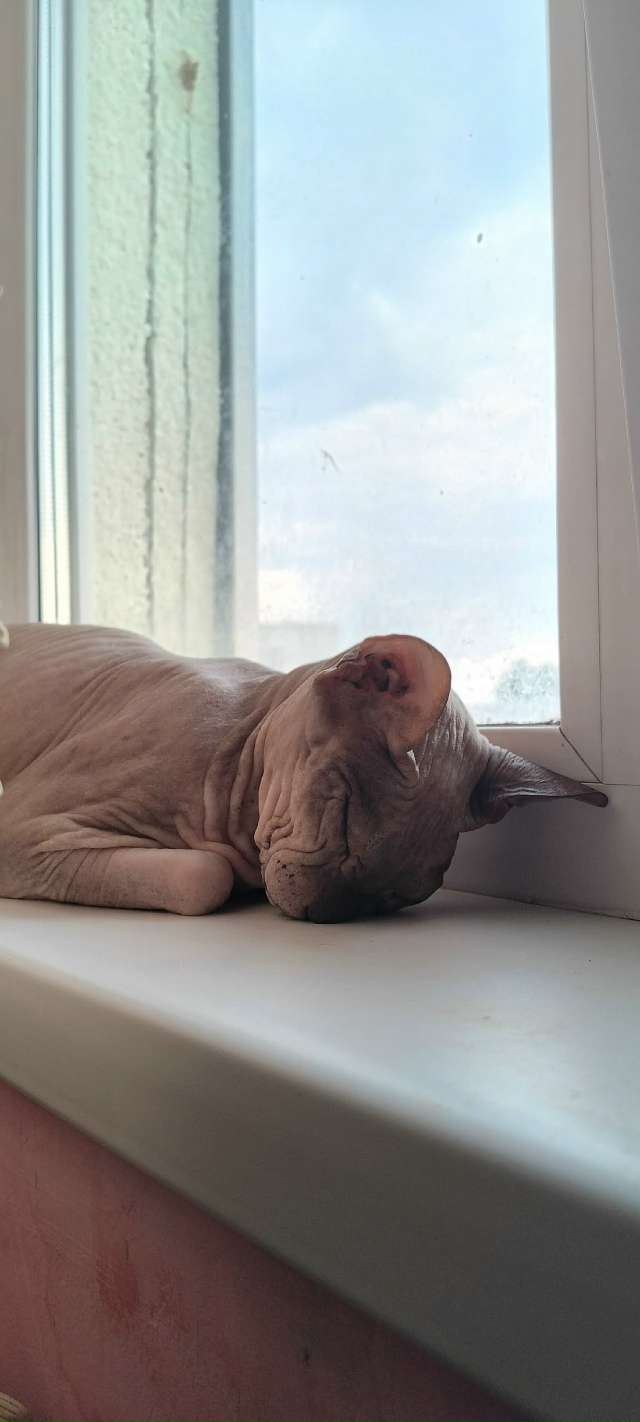 Буся, а по паспорту Буссилия Маргарита Первая, прекрас?...