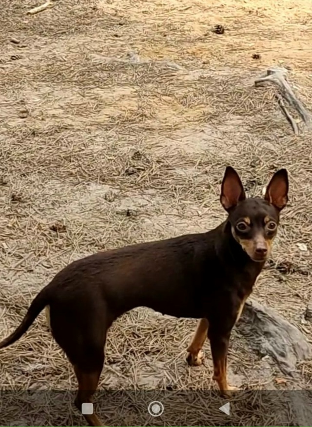 ❗️❗️❗️мои милые, срочно нужна ваша помощь!
У моих д...