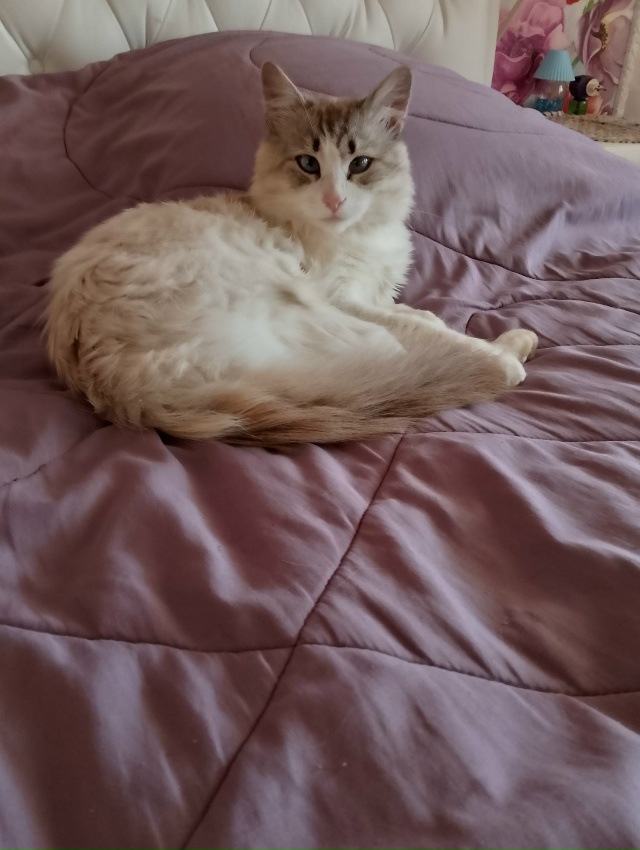 Кося... 🤗
