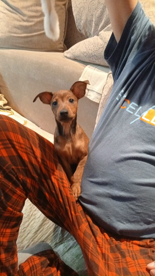 Нам всего два месяца, не можем найти подходящее имя/про...