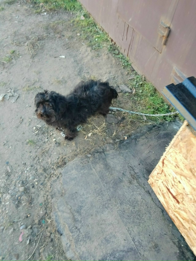 Я понимаю, что многие скажут - «Да задолбали уже!»
Прост...