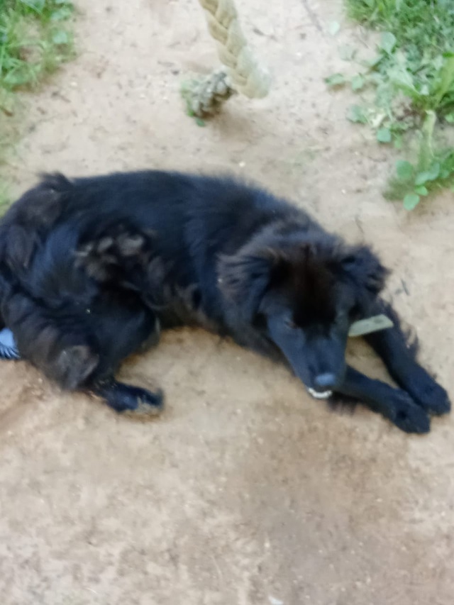 Здравствуйте,админ выложи пожалуйста,на Гагарино райо...