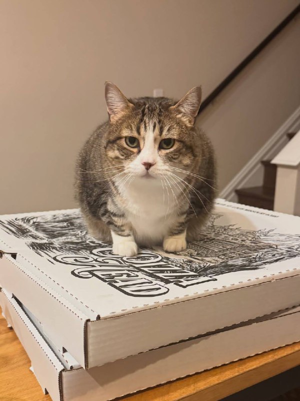 Питса зоблокирована! Для розблокировки вставьте питсу в питсеприемник!!!!!