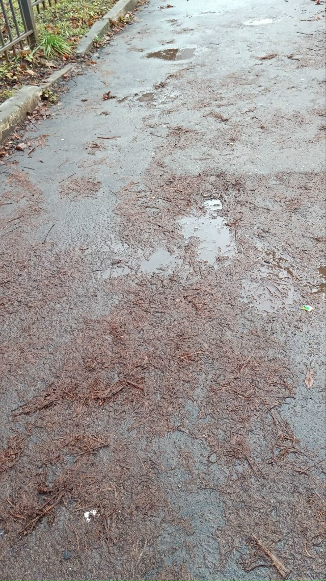 ❗️Жители Коломны жалуются на состояние улицы Малышев...