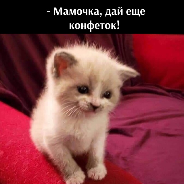 😂😂😂