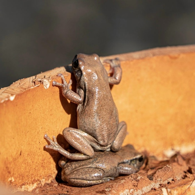 👉Объявлены финалисты конкурса самых смешных фото дик...