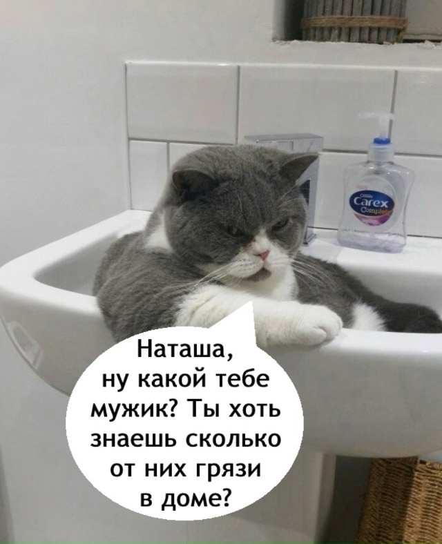 Как же он прав