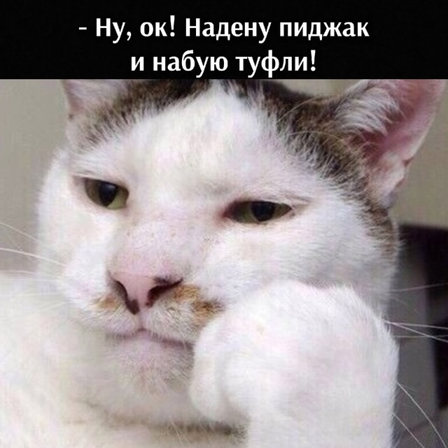 =»»