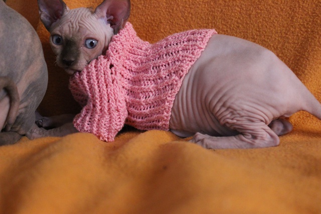 вот она - неделечка рабочая... подбирается!!!!!!!