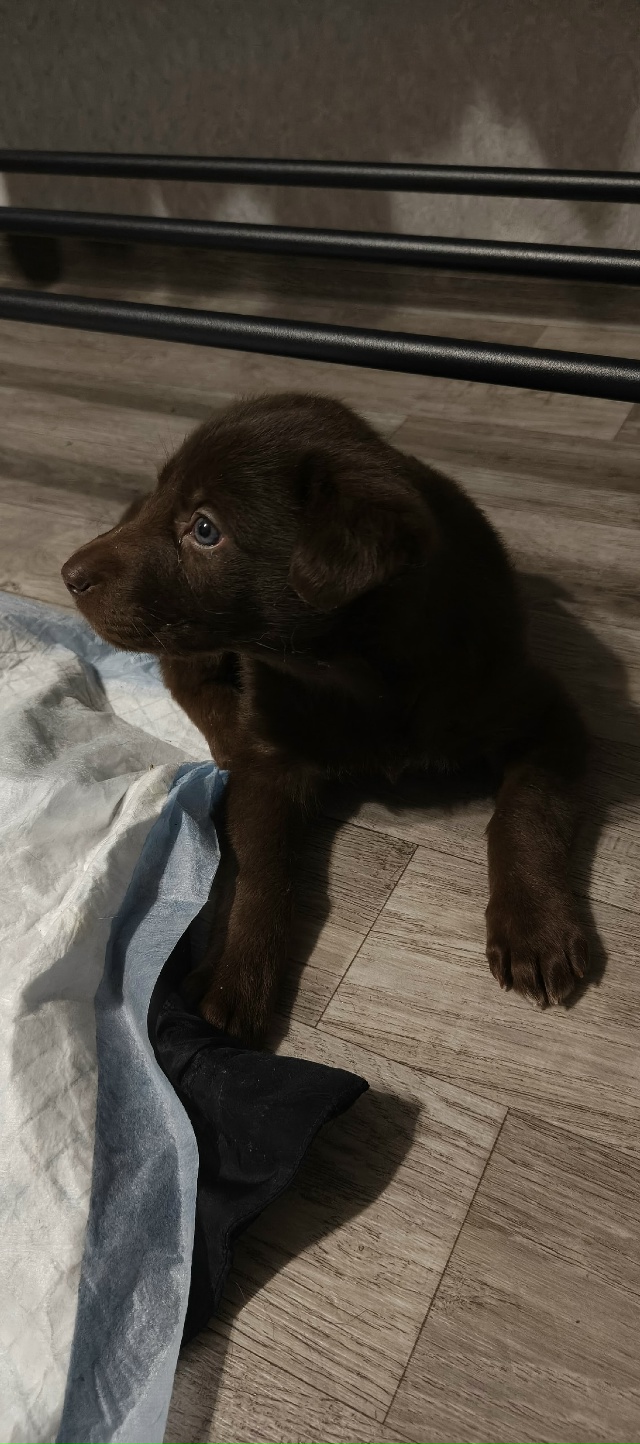 Здравствуйте!
Крики помощи!!
Добрые люди, найдитесь по?...