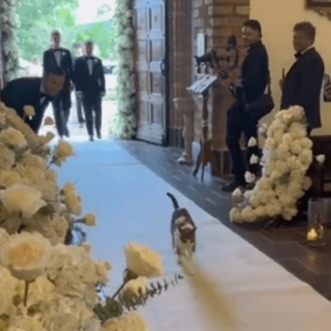 Почетная гостья на свадьбе