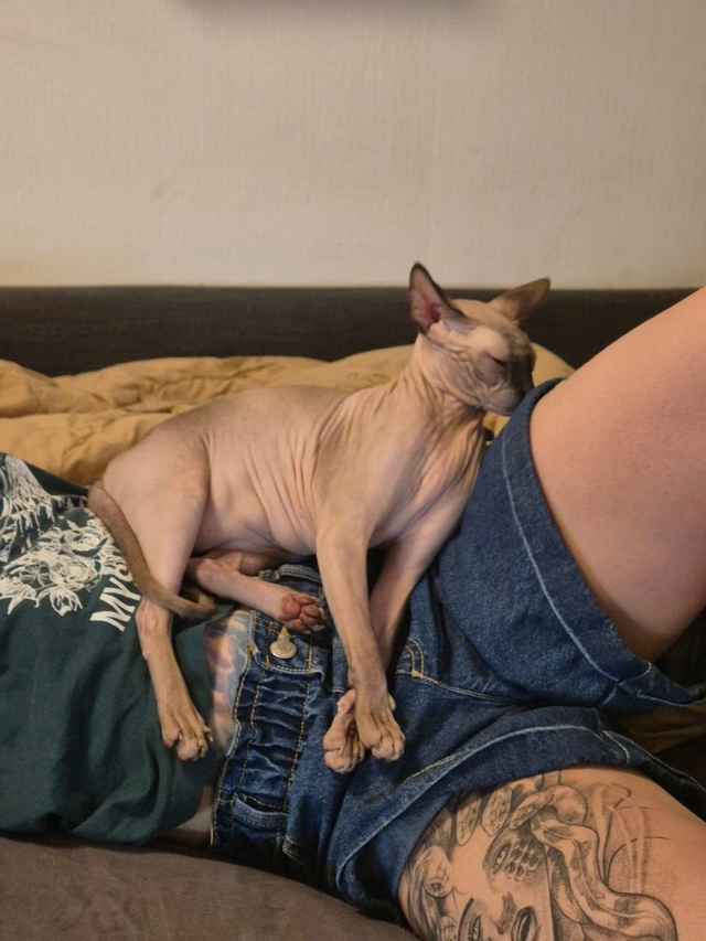 Кажется, эта кегля отъела жопс и уже не сильно помещает...