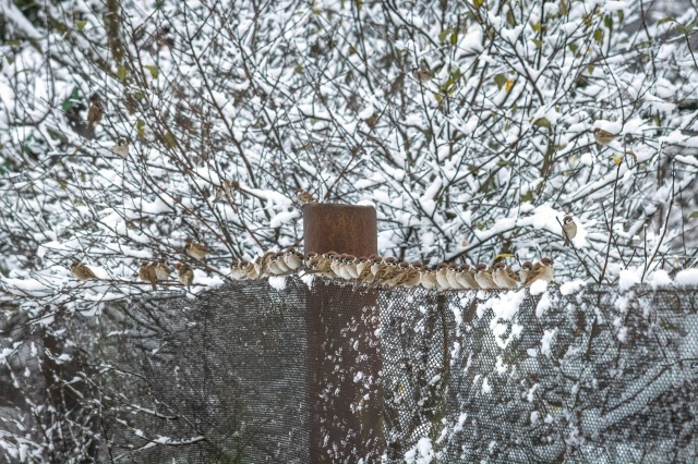 ❄ Привет зима, мы ждали!
Традиционно встретили первый ...