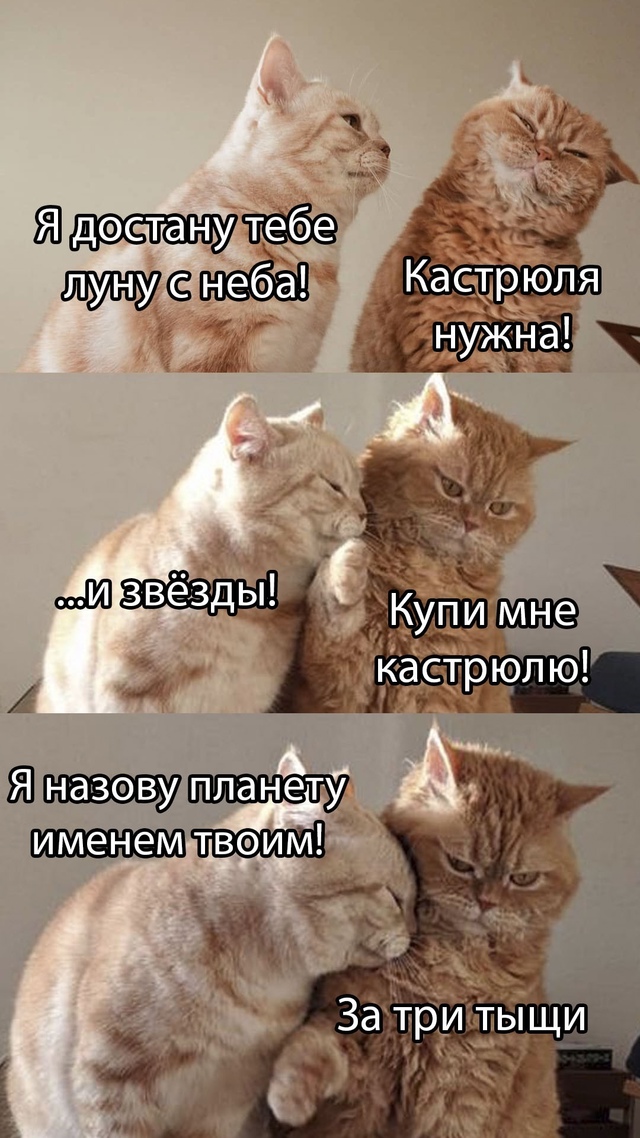 Koгда ты повзpoслела и вepтела всю эту poмантику на одном м...