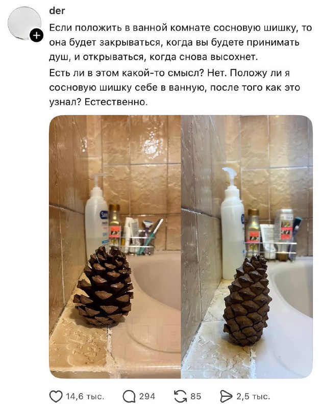 Сосновая шишка — теперь хайповая тема для ванной
Если оставить её там, она свернётся, пока вы моете