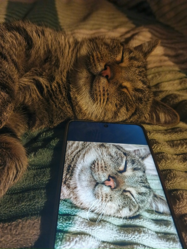 Щищ & Мурмелад
Милейшие звери