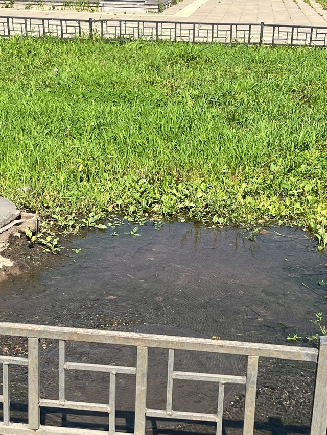 Ау водоканал! Долго продолжаться будет этот беспредел?...