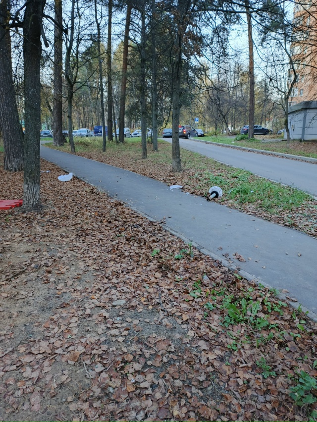 Новые фонари установили, а старые не надо убирать?! Что ...