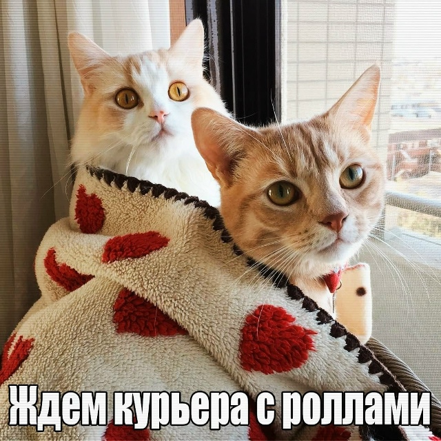 😴 Сегодня отмечается День расслабленности и беззабот...