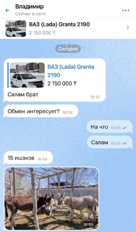 На авторынке в Казахстане парню предложили махнуть его Ладу Гранту на… 15 ишаков
Надо брать