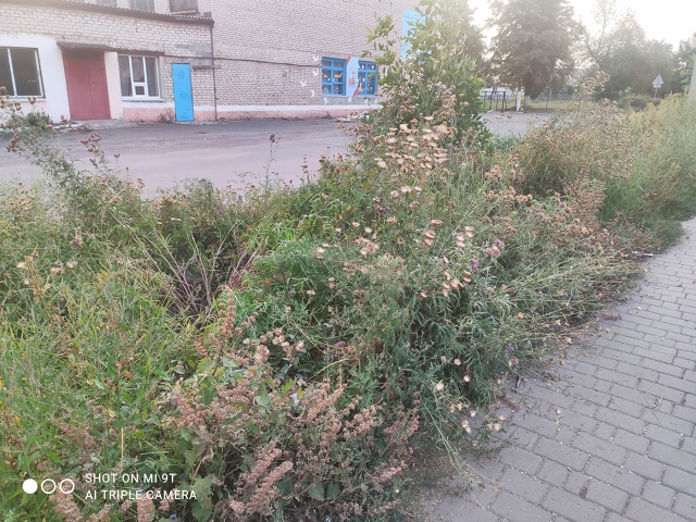 Прогулялись сегодня вечером на 