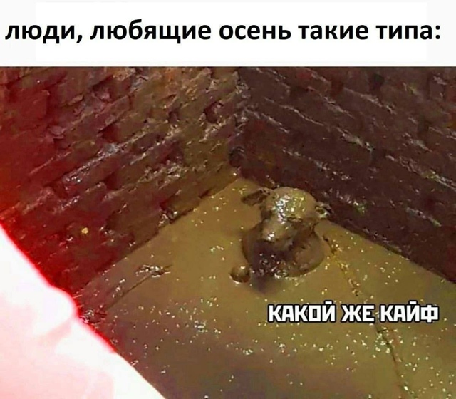 Много среди нас любителей осени?