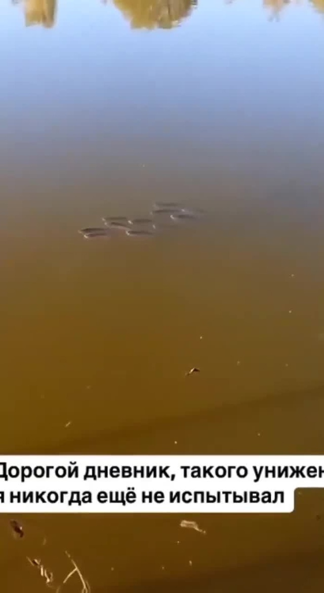 Как же им просто все равно..