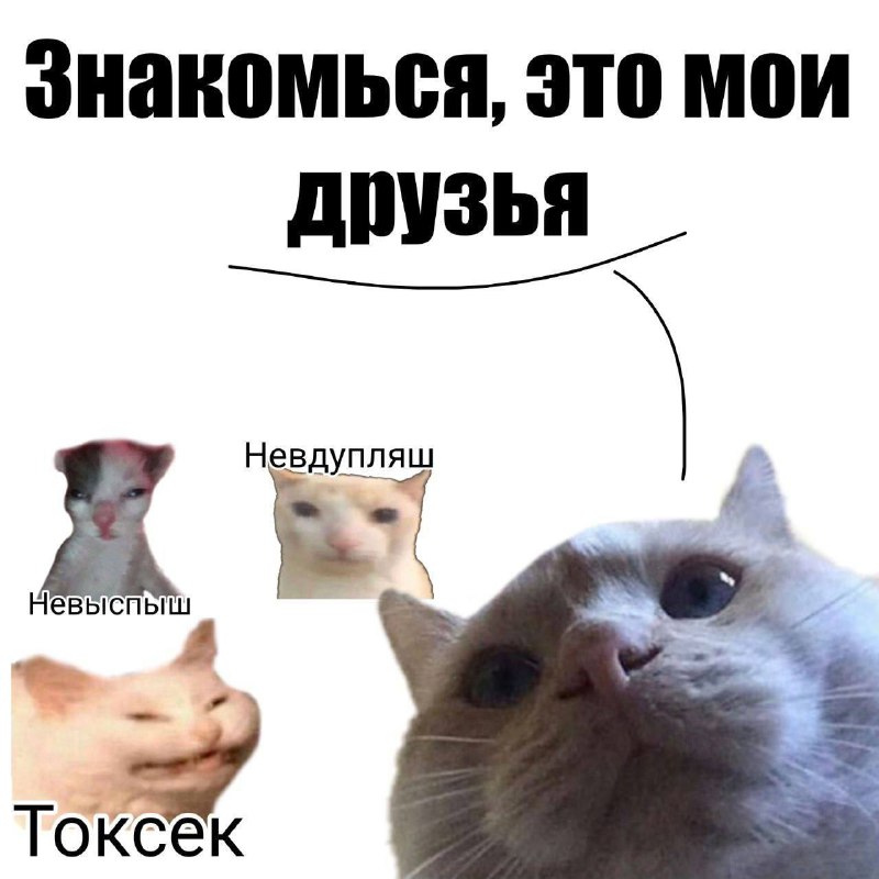 Утренняя подборочка