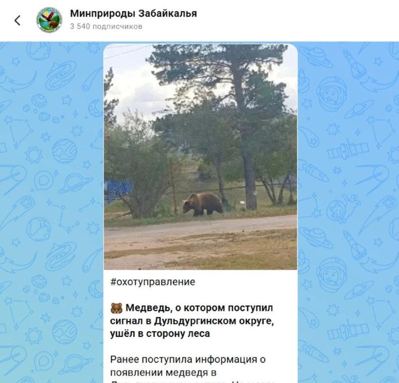 В Забайкалье у женщины конфисковали смартфон за ИИ-фото медведя.
Суд назначил ей штраф 30 тысяч ру