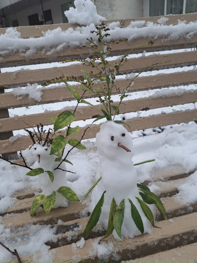 Первый снег Видное❄️