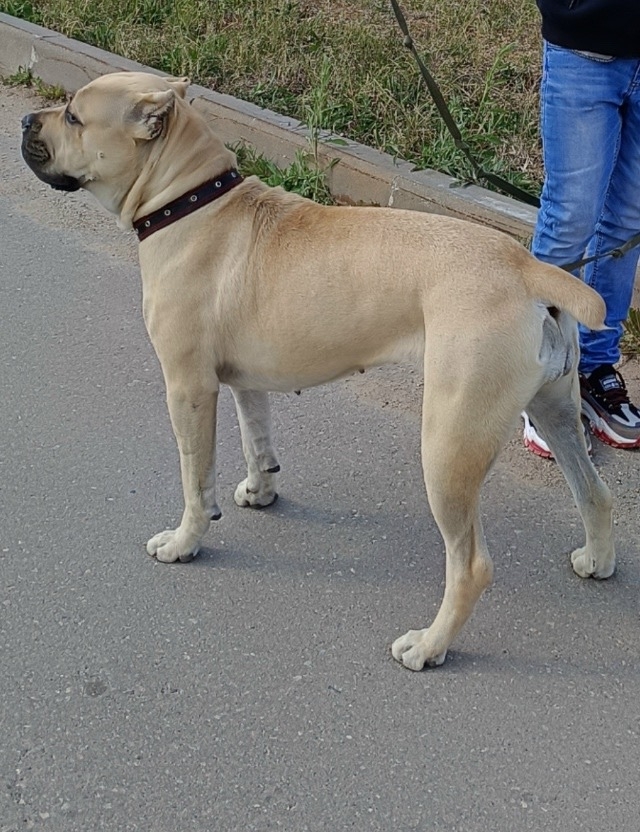 В.Новгород,может находиться в любом городе