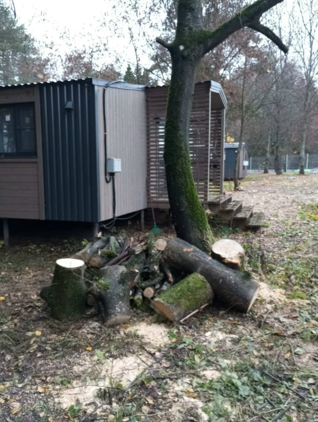 Резкое ухудшение экологической обстановки и угрозы пи...