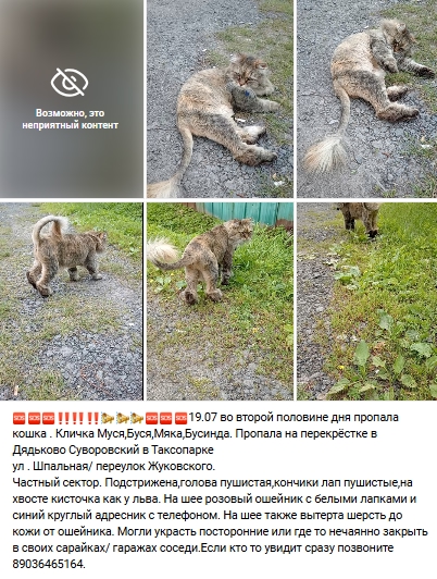 Пост добра. Распространите, пожалуйста.