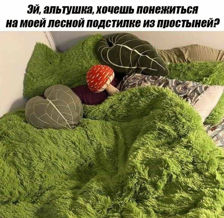 Утренняя подборочка